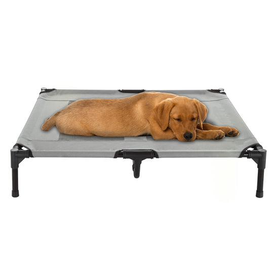 Elevated Dog Bed