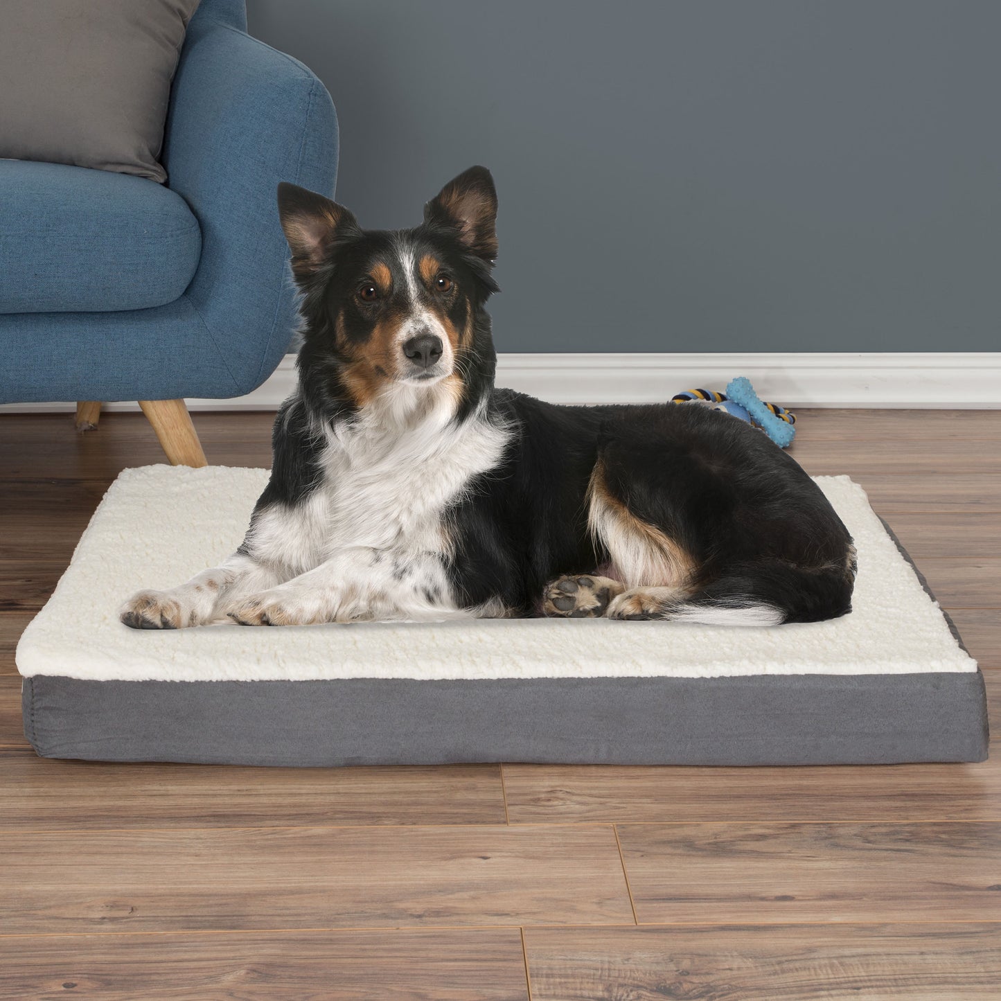 Memory Foam Pet Bed