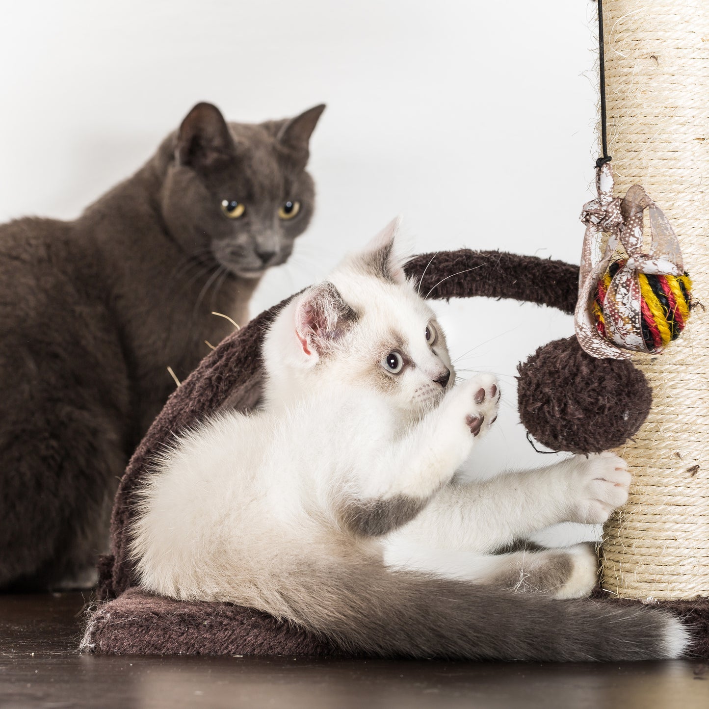 3-Tier Cat Tree With Condo And Scratching Posts