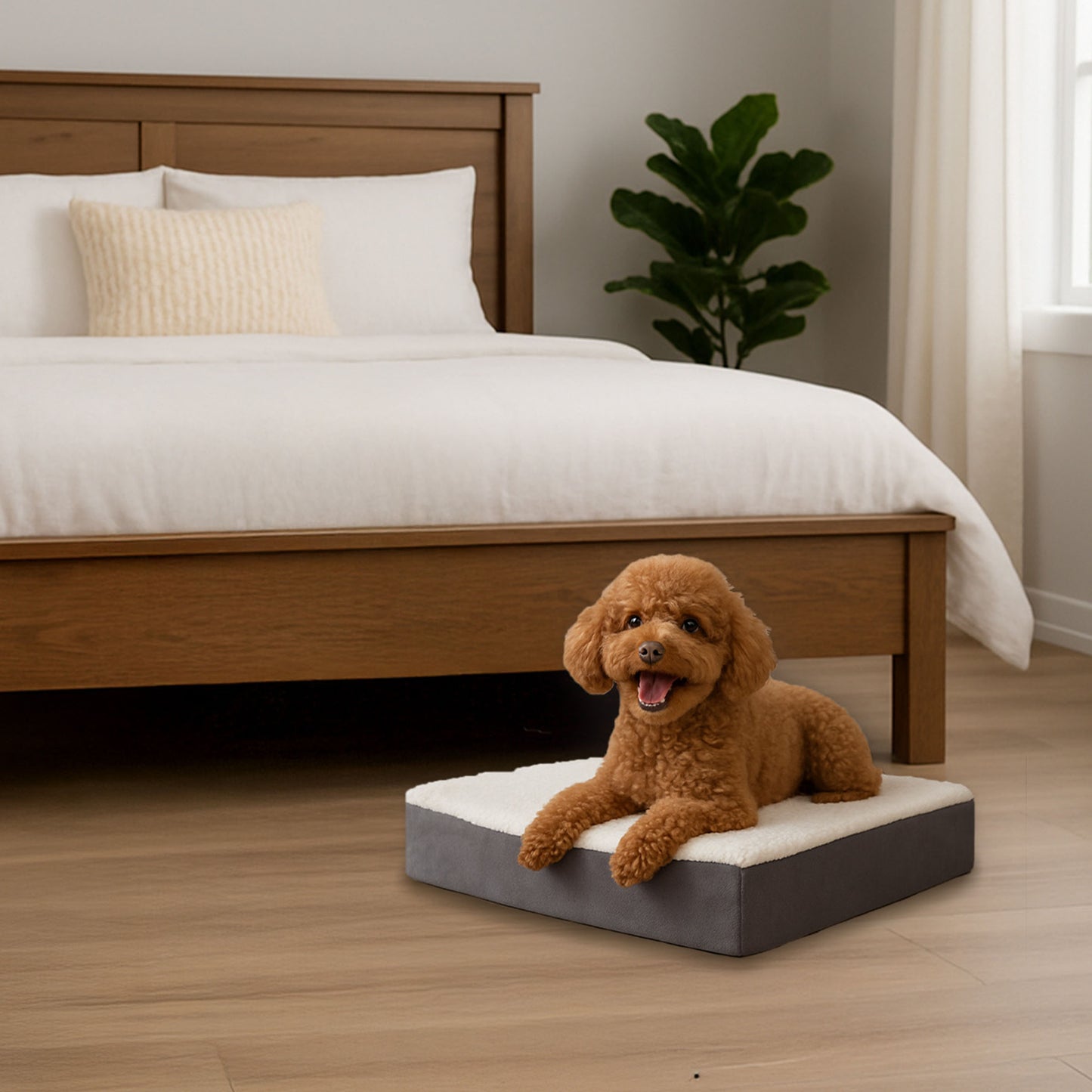 2-Layer Orthopedic Dog Bed