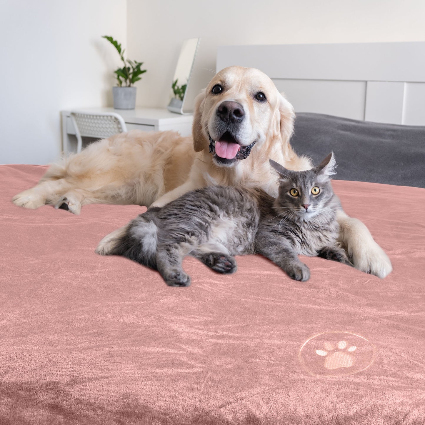 PETMAKER 50x60-Inch Waterproof Dog Blanket, Pink