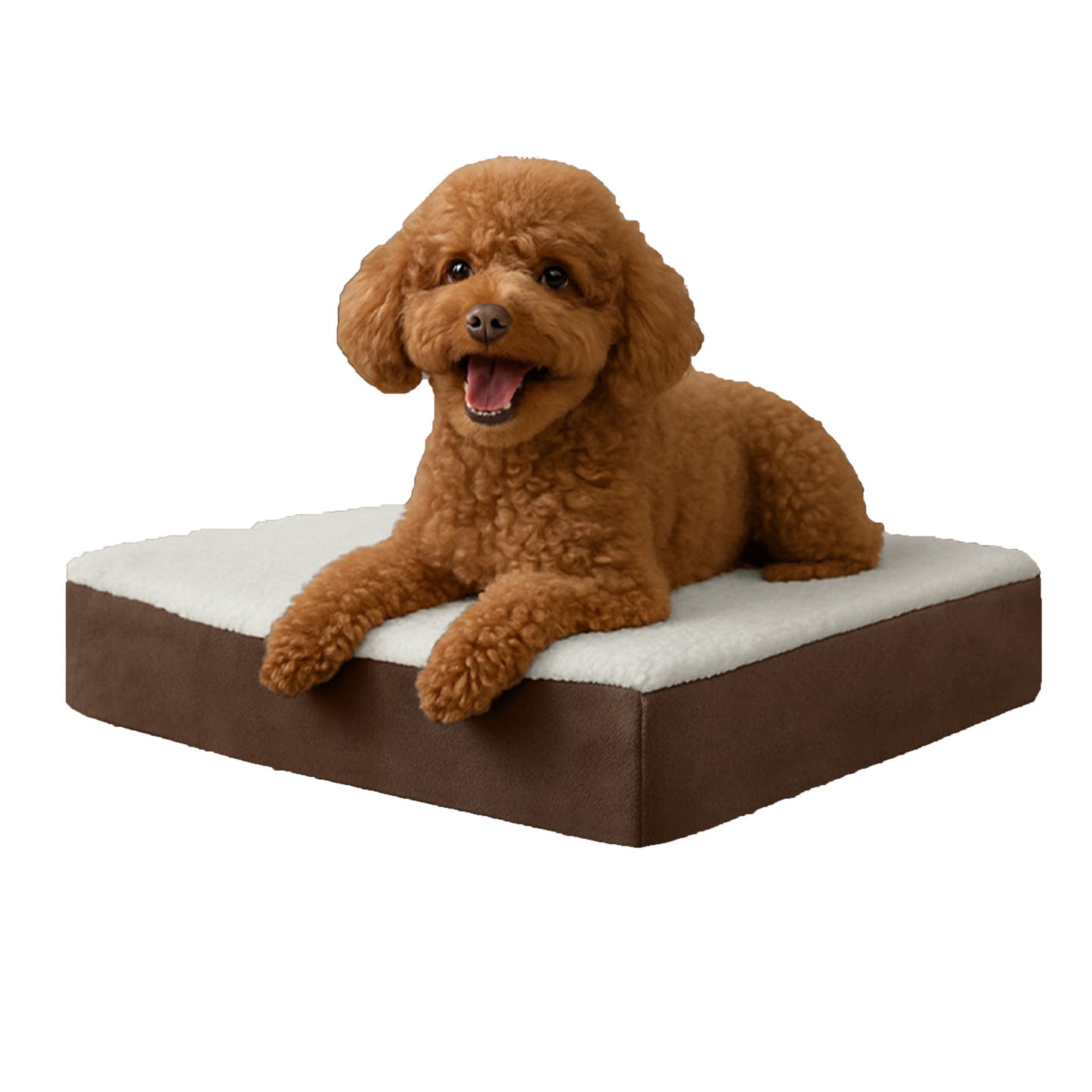 2-Layer Orthopedic Bed