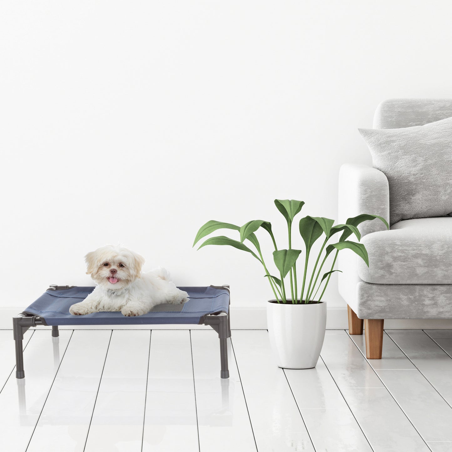 Elevated Dog Bed