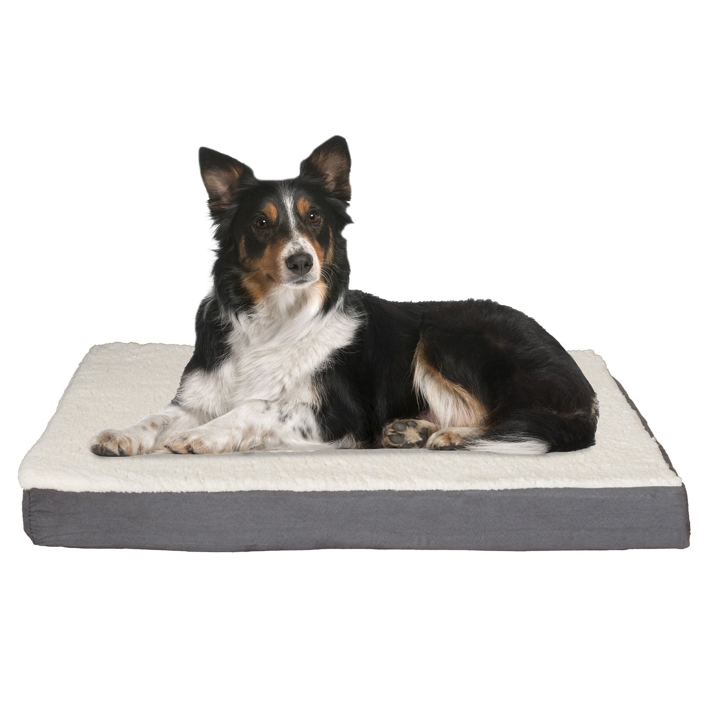 Memory Foam Pet Bed