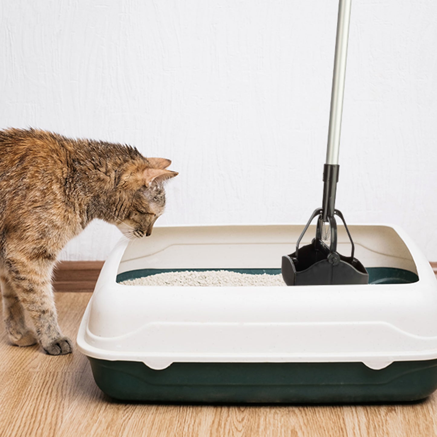 Pet Pooper Scooper with Long Handle