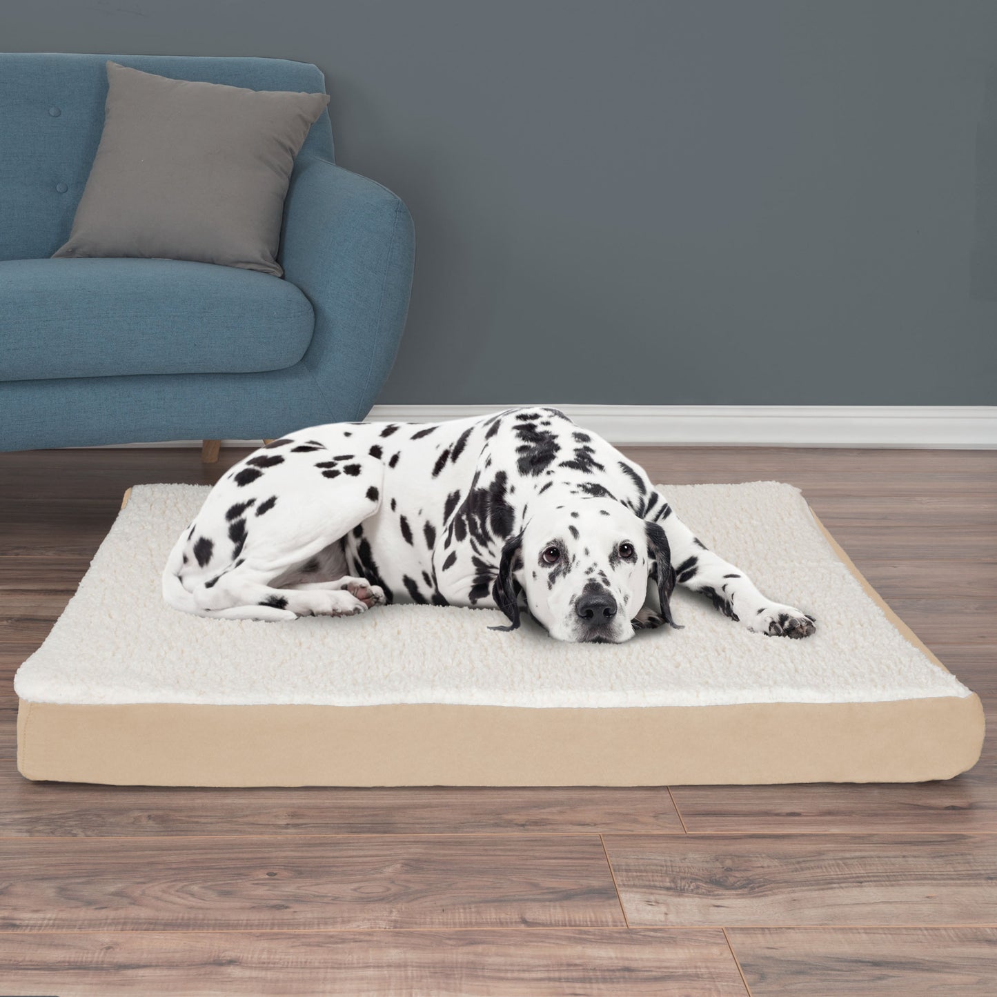 2-Layer Orthopedic Dog Bed