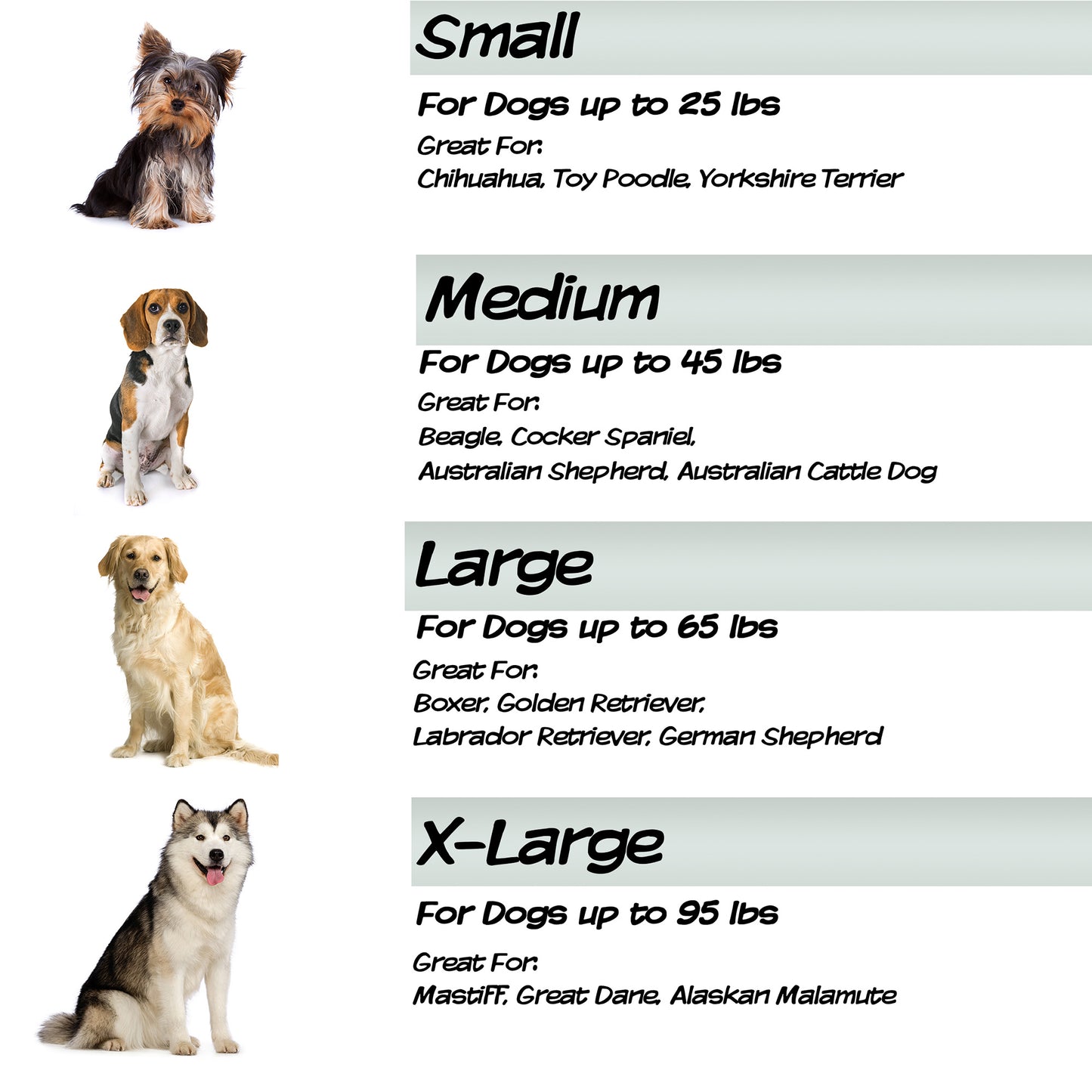 Orthopedic Memory Foam Dog Bed