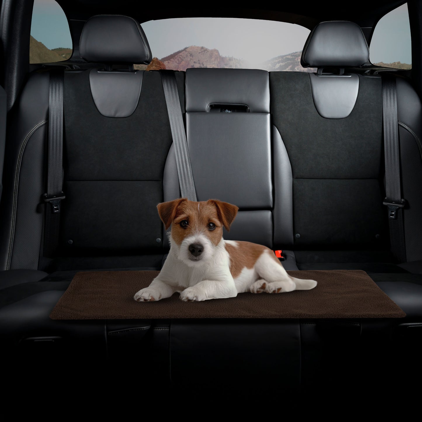 Self-Heating Pet Pad Thermal Pet Mat