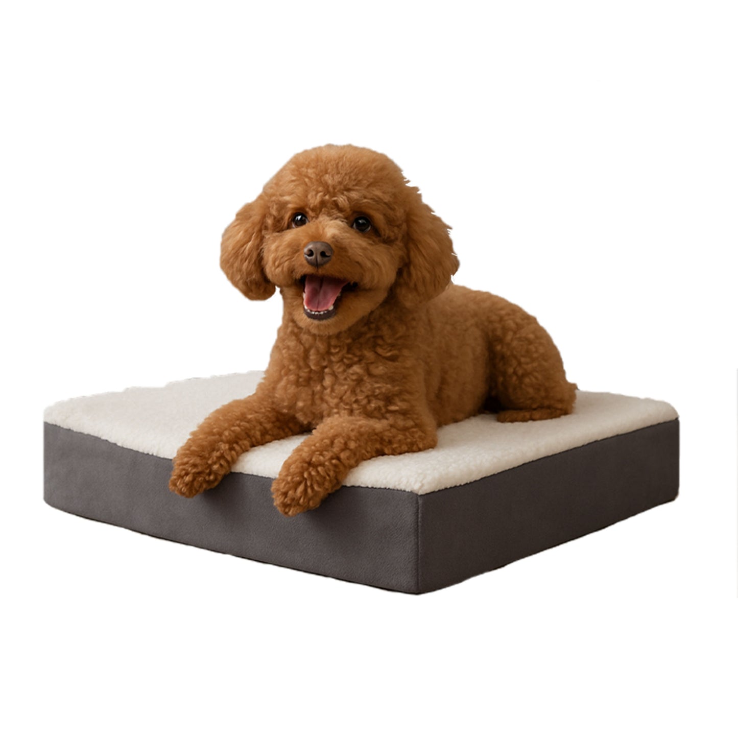 2-Layer Orthopedic Dog Bed