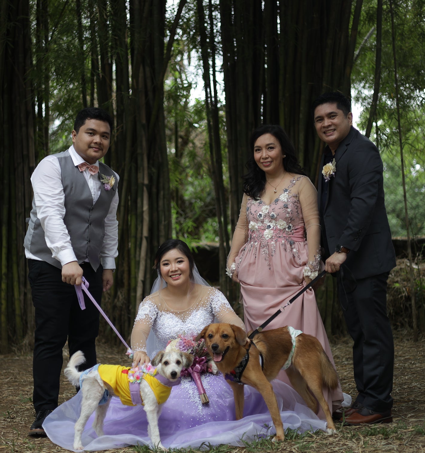 Wedding photo features the two family dogs along with the bridal party.