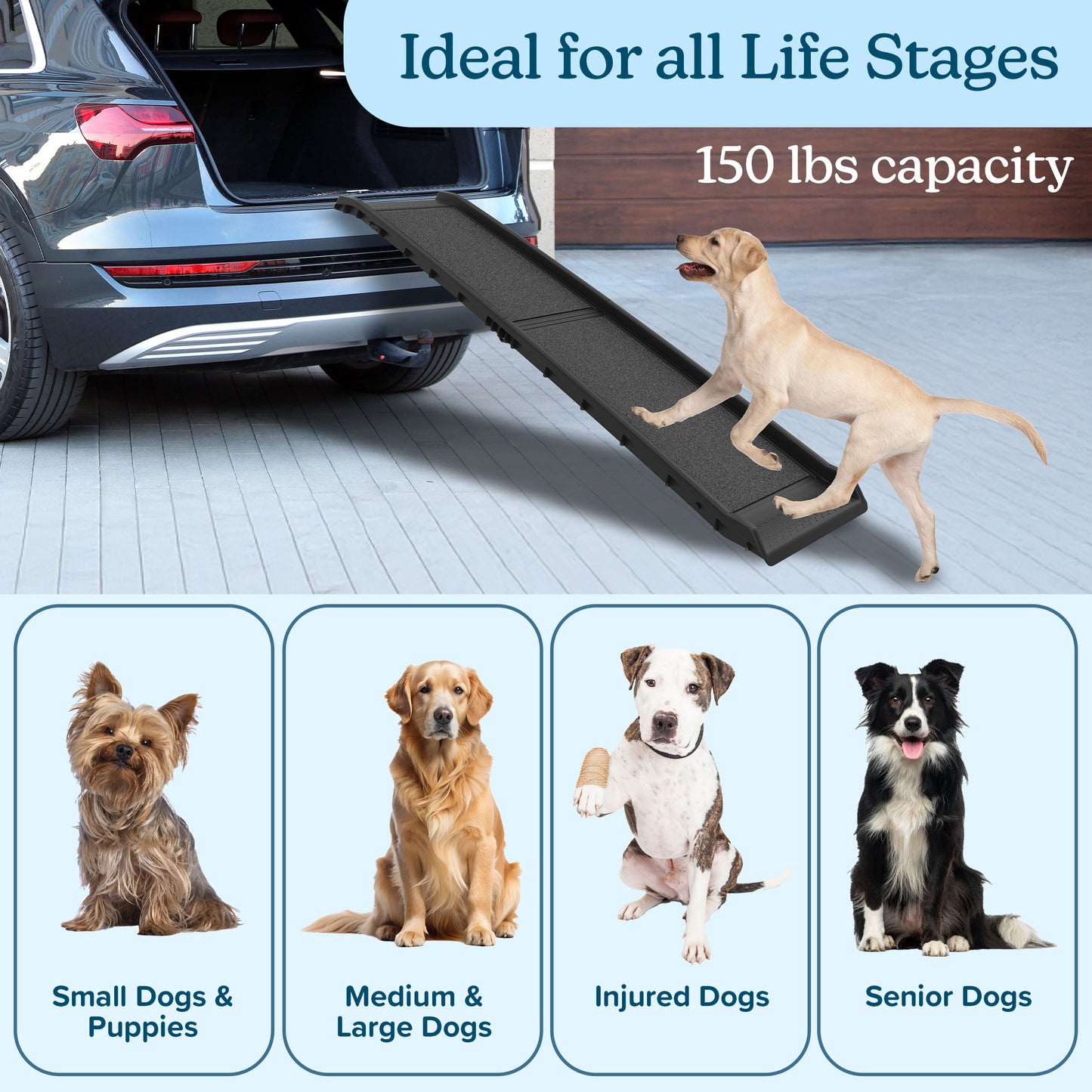 Folding, Nonslip Dog Ramp