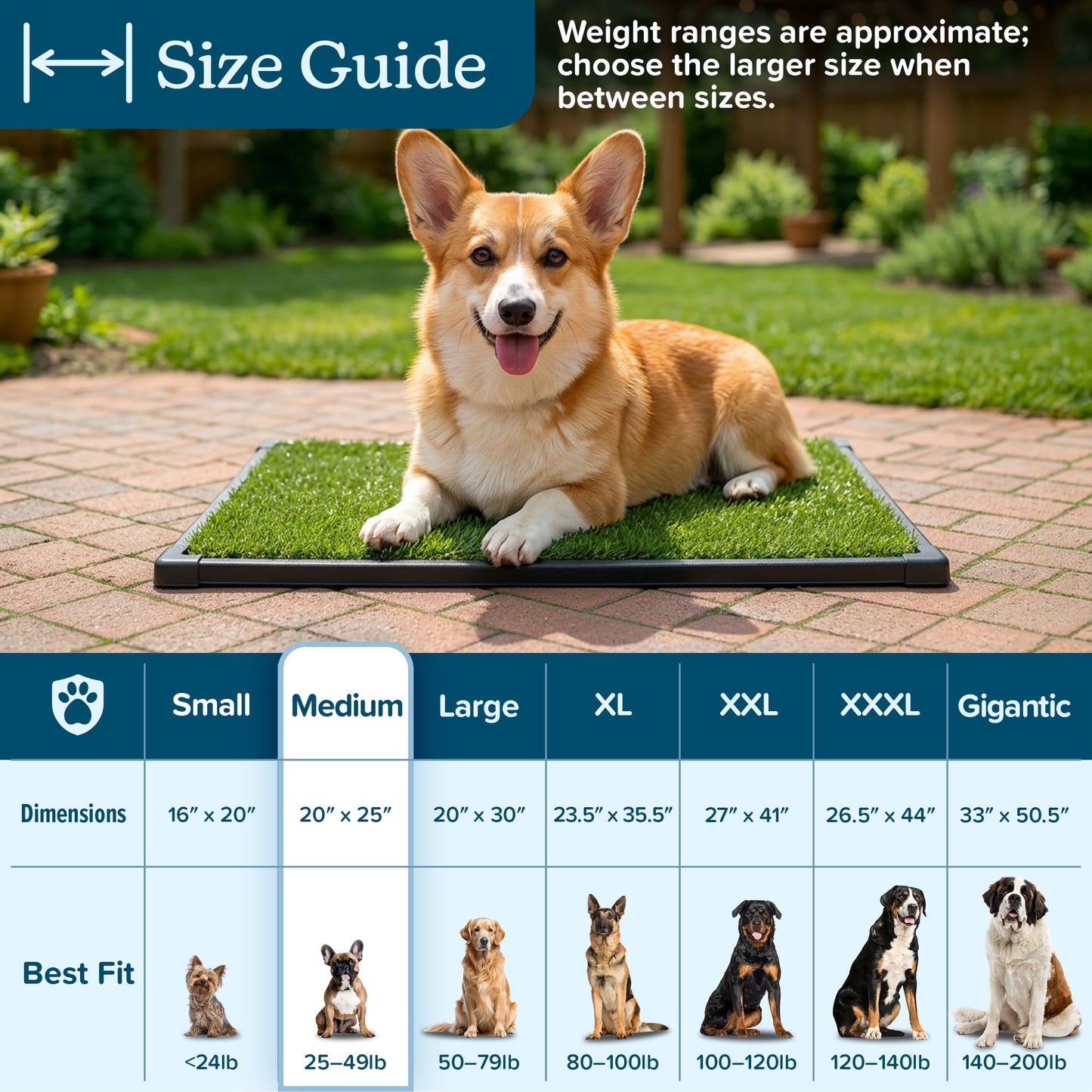 Artificial Grass Puppy Pad