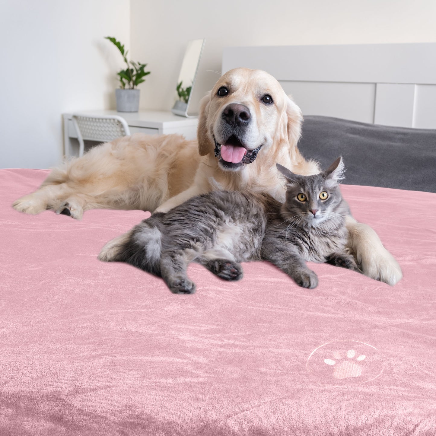 PETMAKER 50x60-Inch Waterproof Dog Blanket, Pink