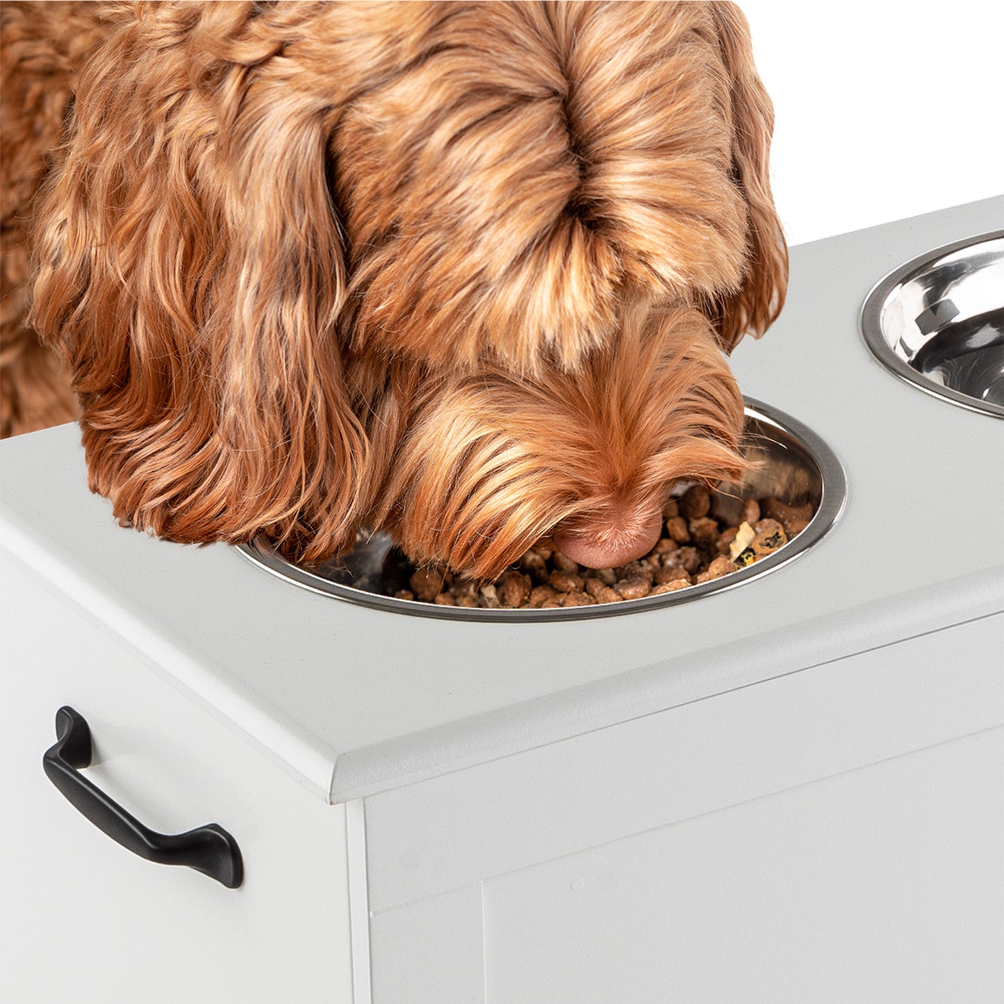Elevated Dog Bowls with Storage