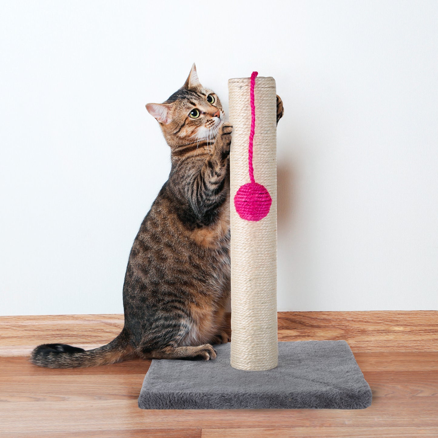 Indoor Cat Scratching Post