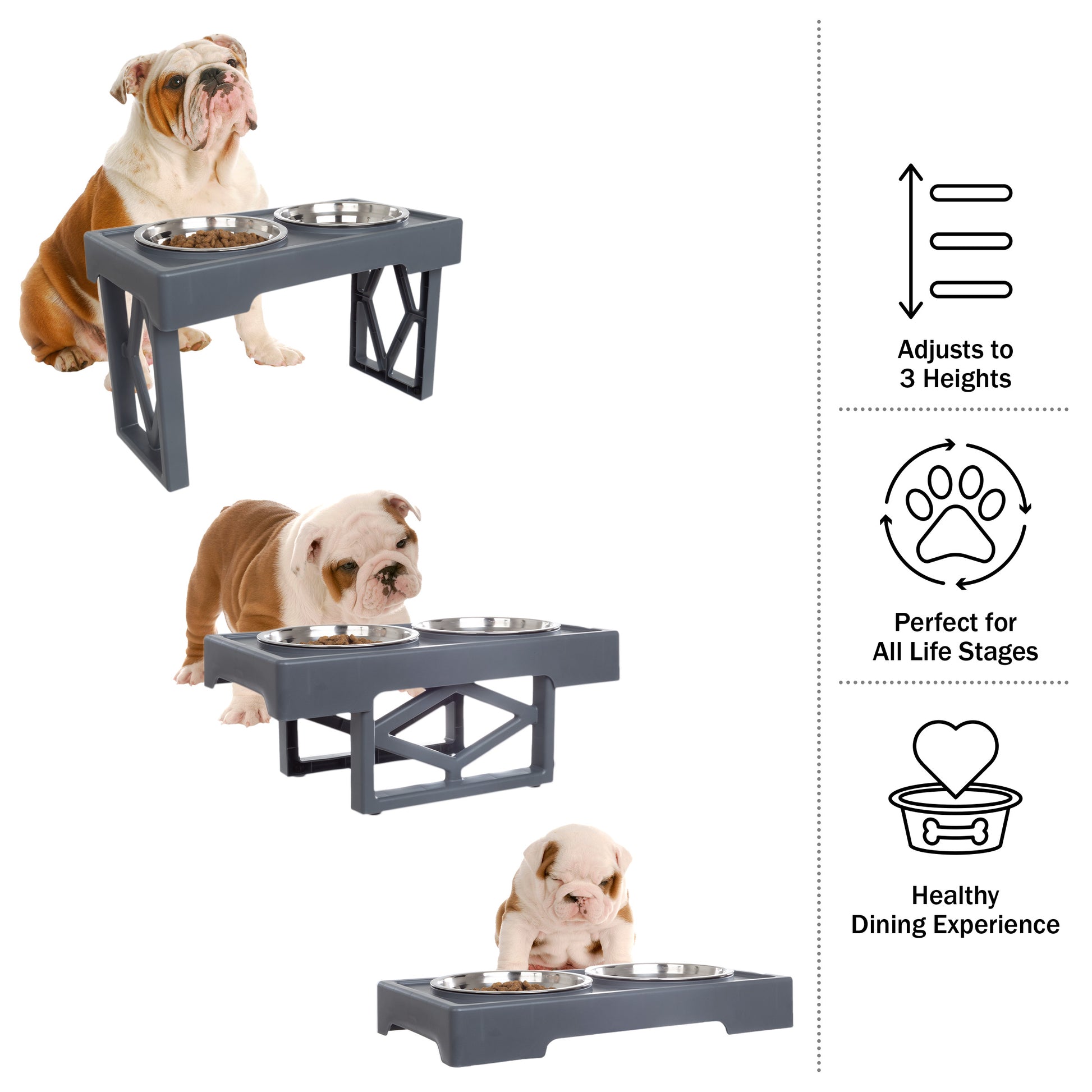 Stainless 3 Adjustable Heights Elevated Dog Bowl Adjustable