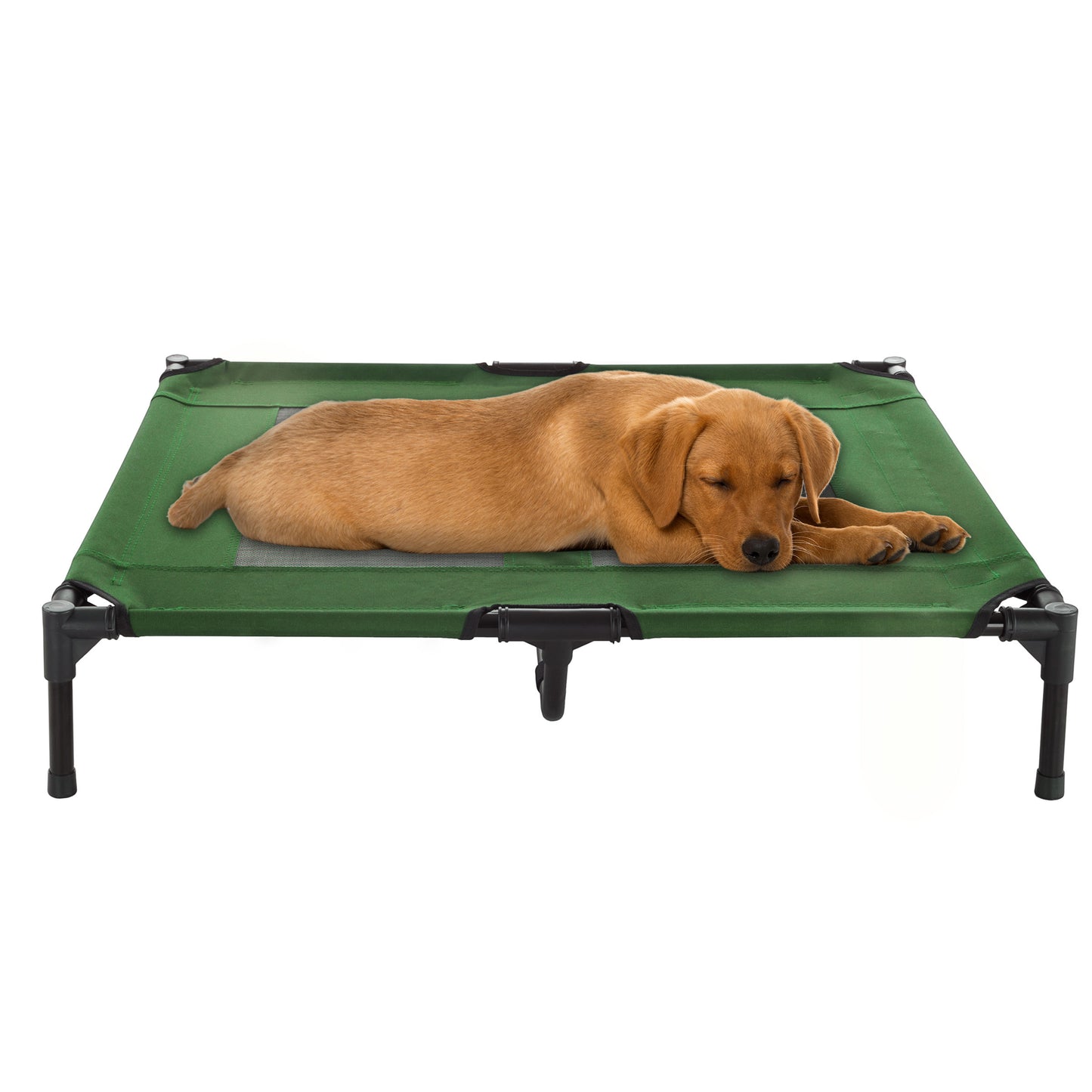 Elevated Pet Bed W/ Non-Slip Feet