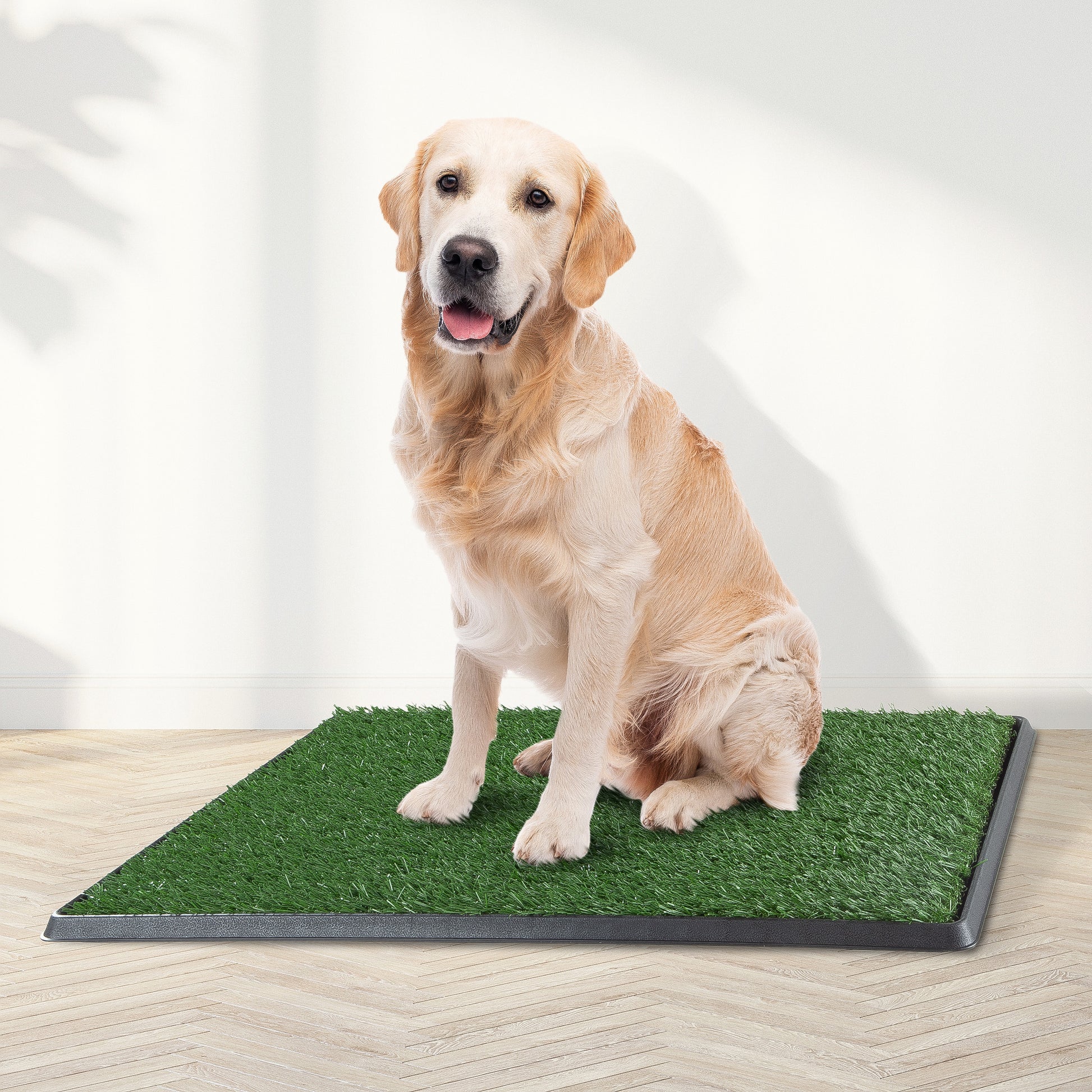 PETMAKER Artificial Grass Puppy Pad for Dogs and Small Pets ? India