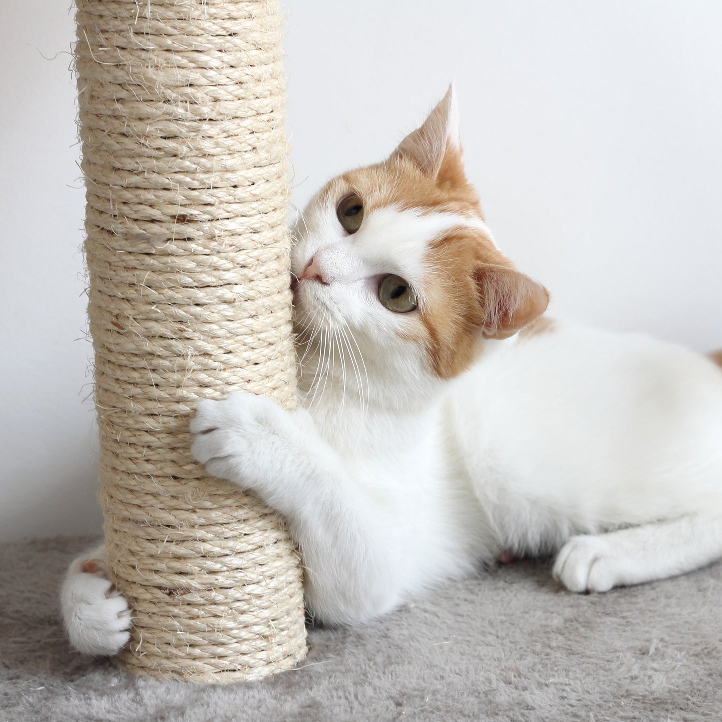 Cat Scratching Post Tower with 3 Posts