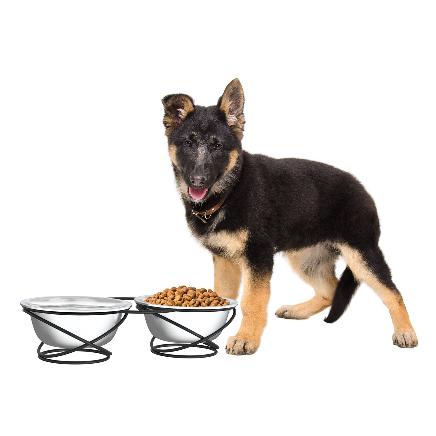 Set of 2 Elevated Dog Bowls with Stand