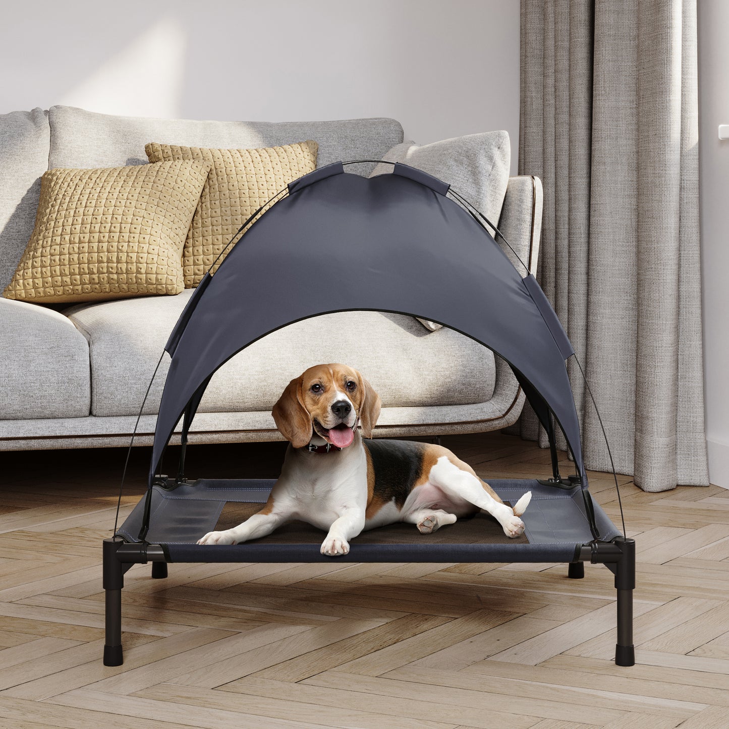 Elevated Dog Bed with Canopy