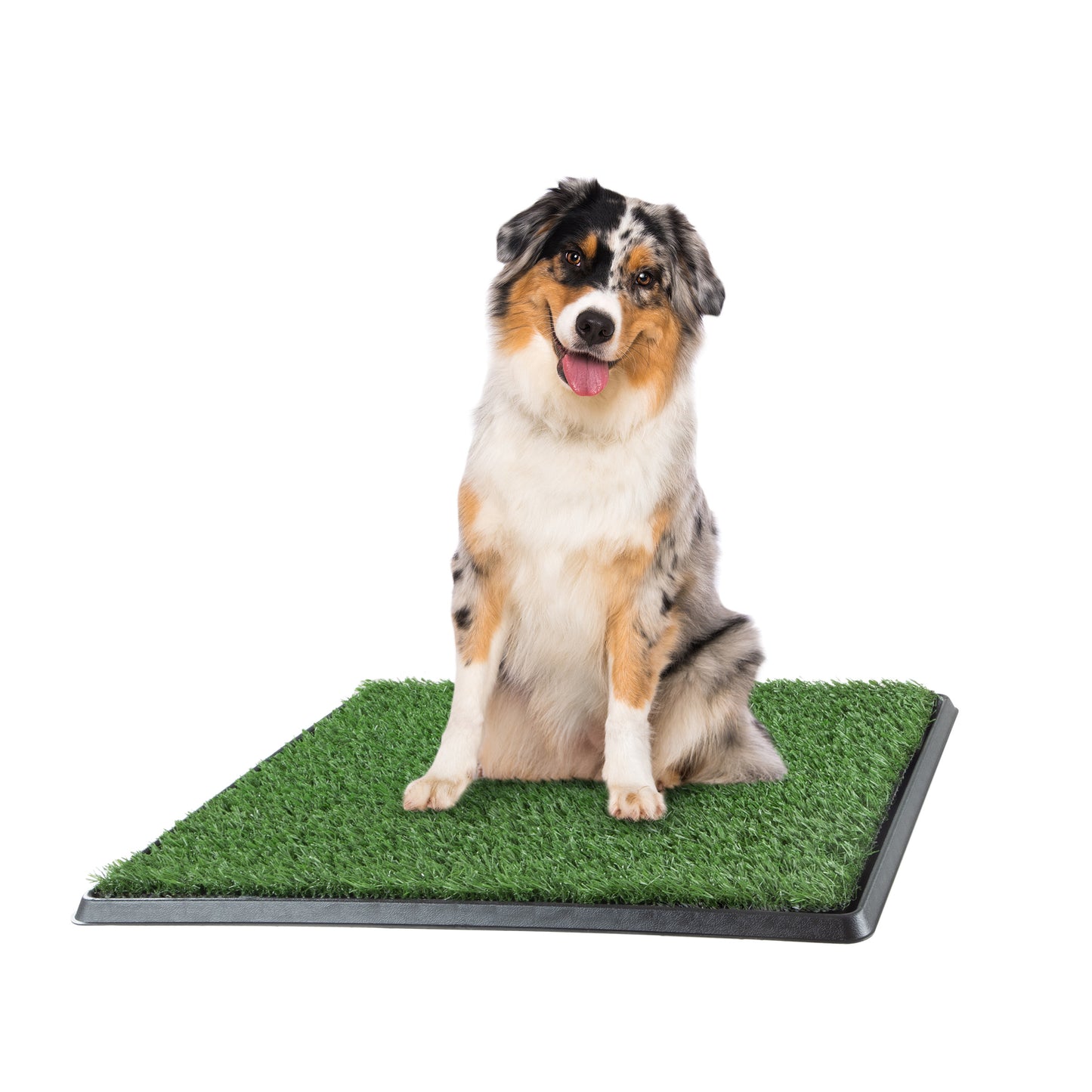 Set of 3 Replacement Turf Grass Pee Pads