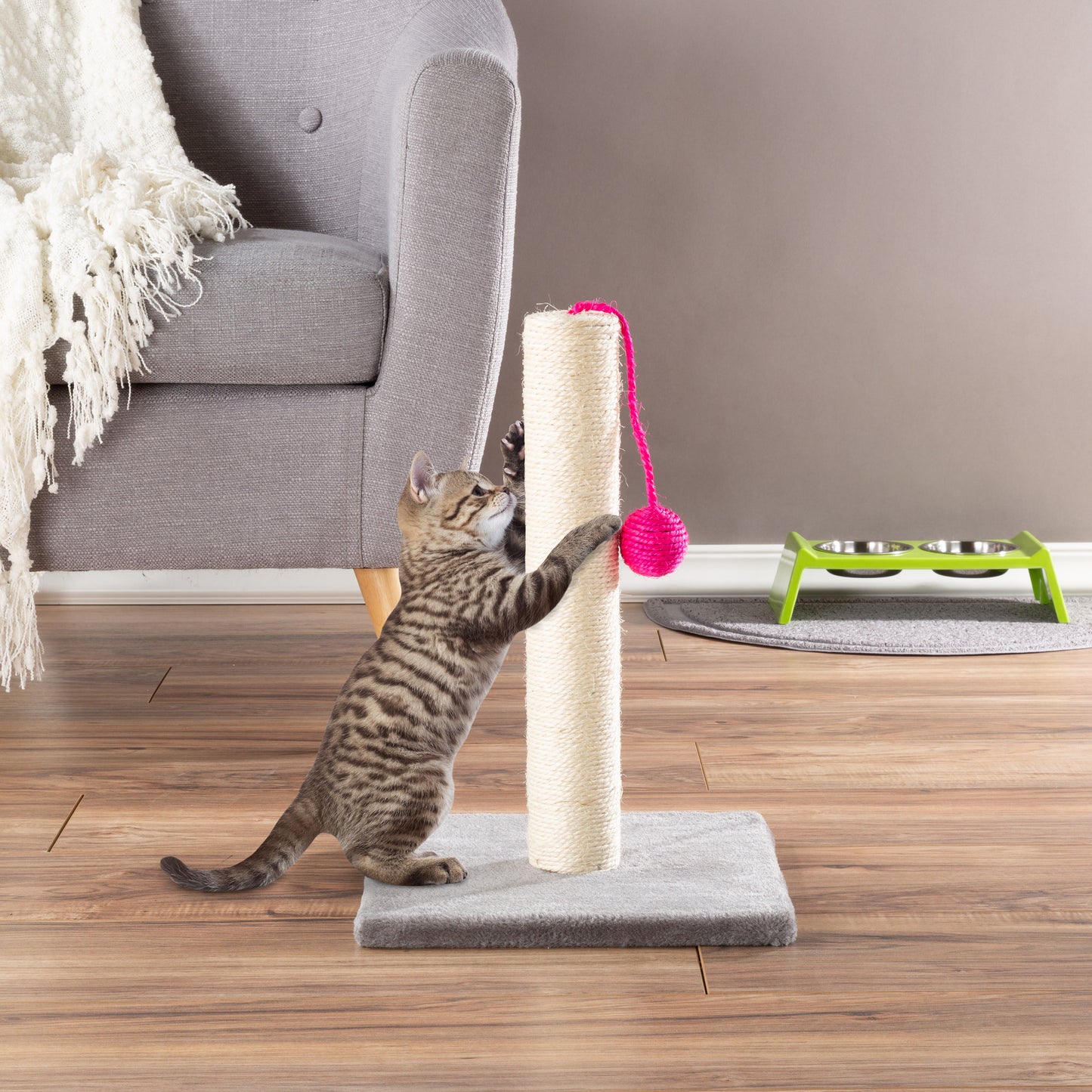 Indoor Cat Scratching Post