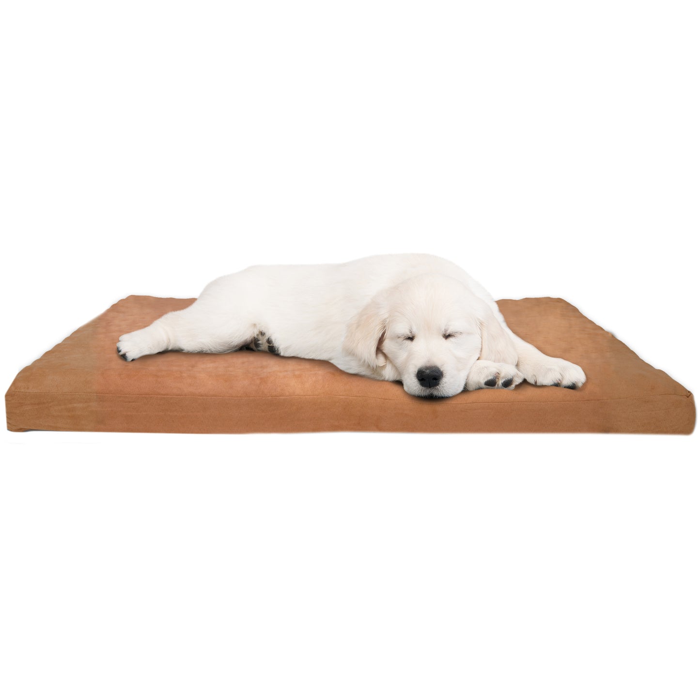 Orthopedic Foam Dog Bed