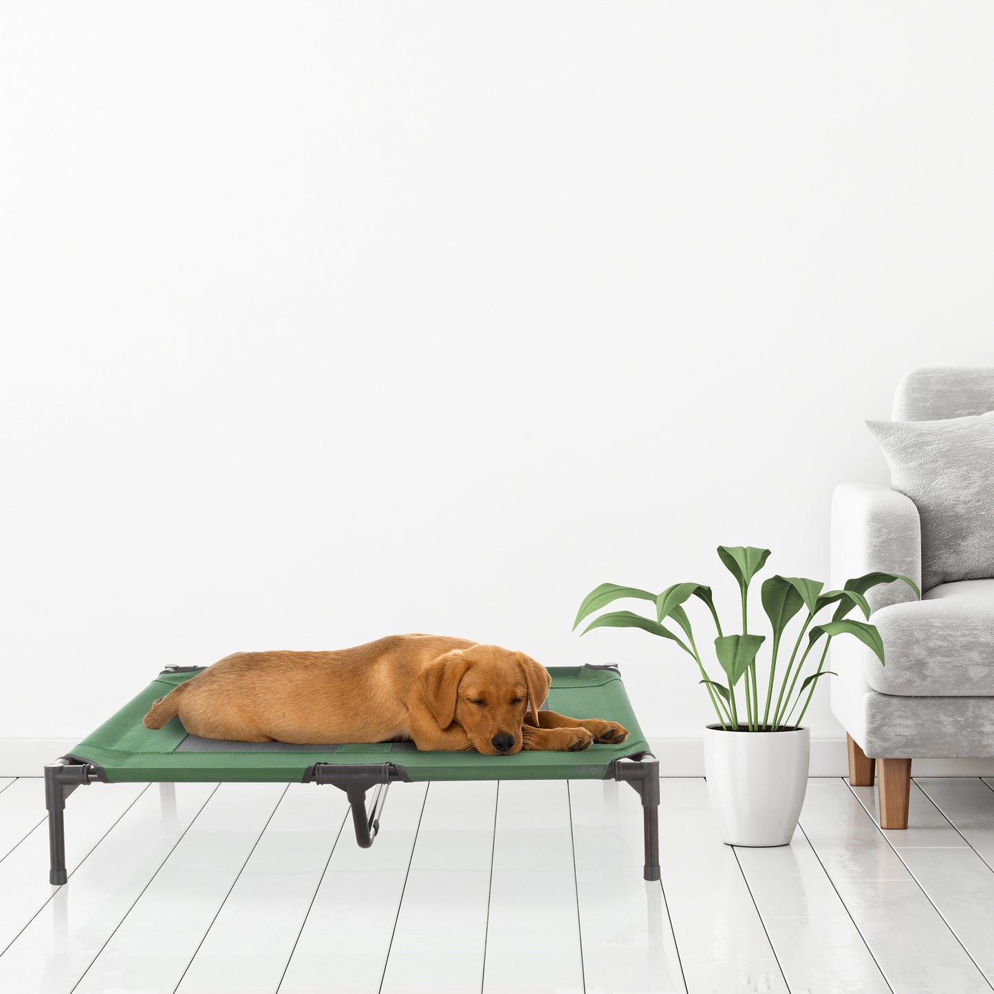 Elevated Pet Bed W/ Non-Slip Feet