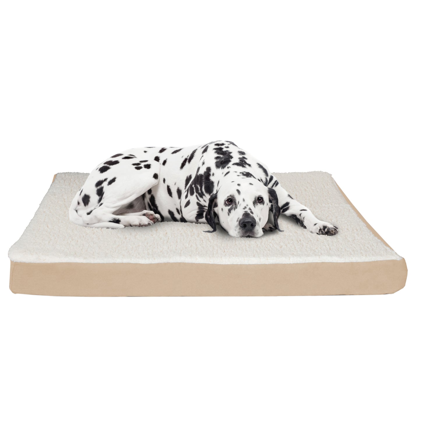 2-Layer Orthopedic Dog Bed