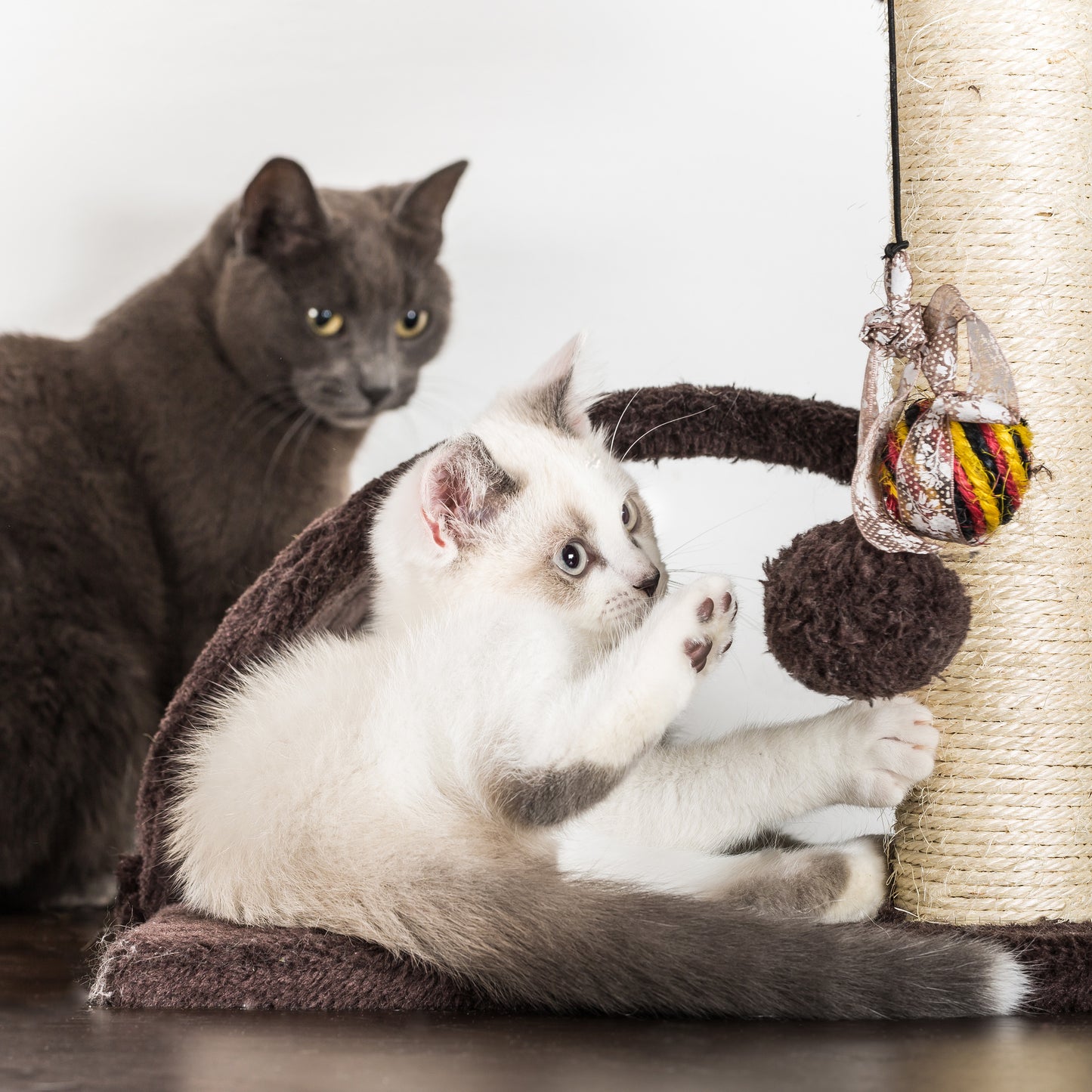 5-Tier Cat Tree with Scratch Posts