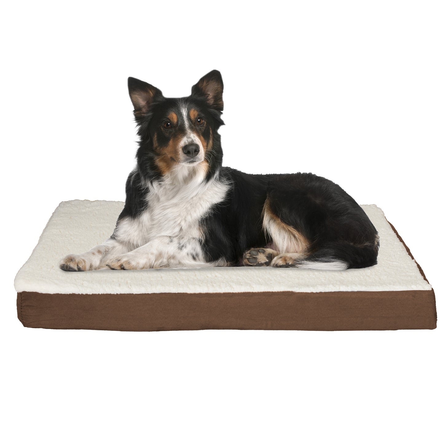 2-Layer Orthopedic Dog Bed