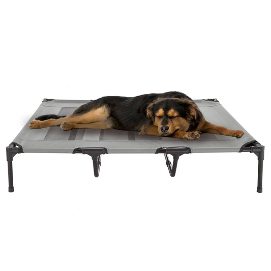 Elevated Dog Bed