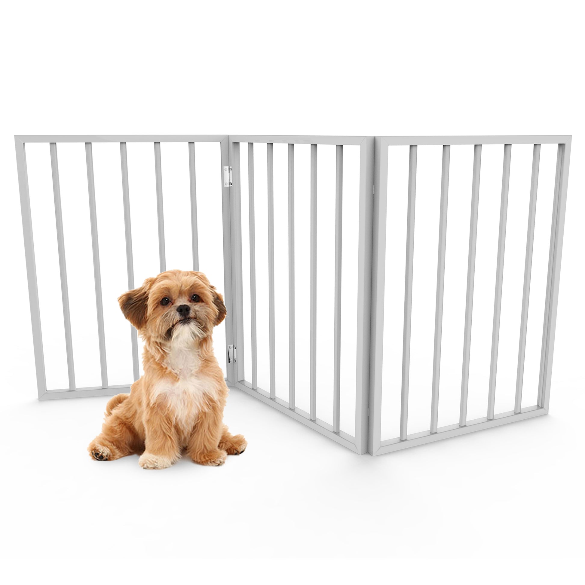 Obedient and patient puppy waits outside of a pet gate.  