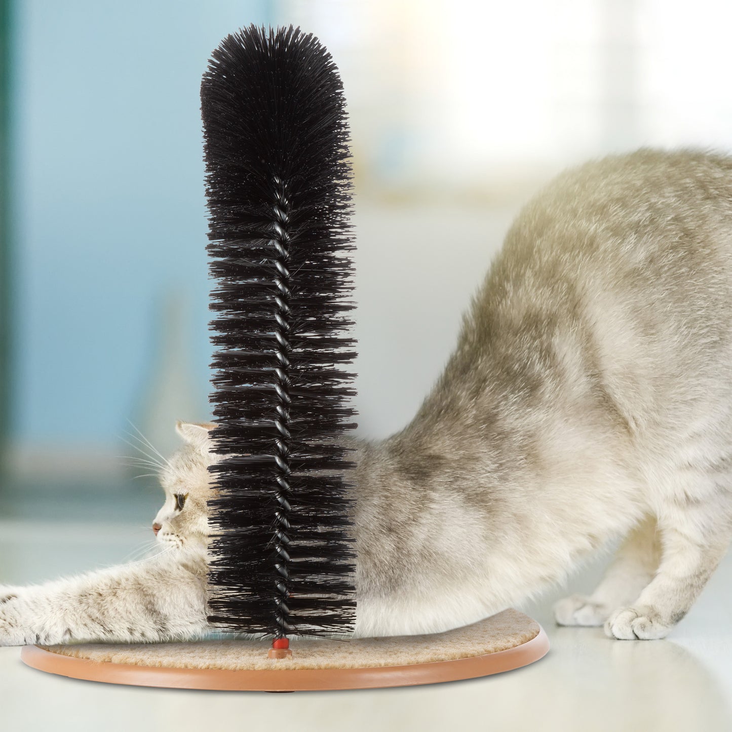 Cat Self-Groomer and Ring Brush