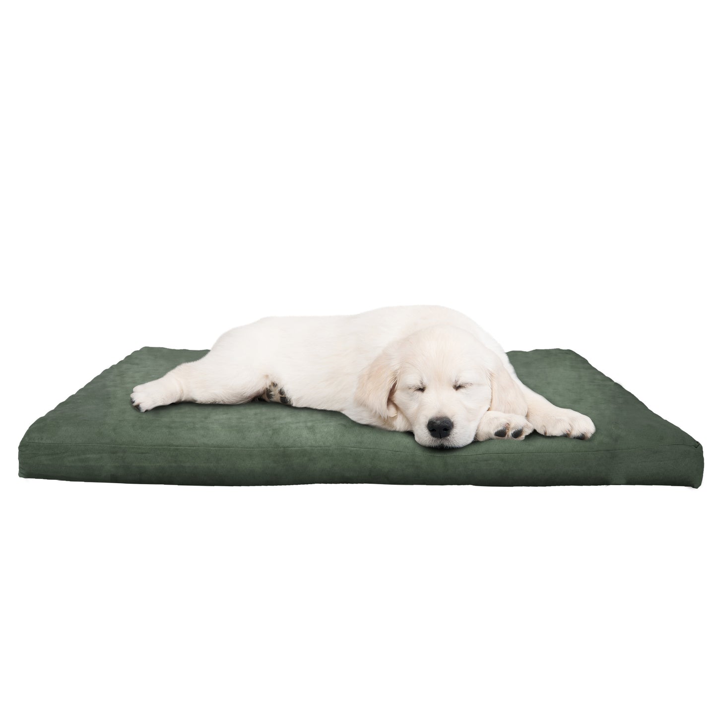 Orthopedic Foam Dog Bed