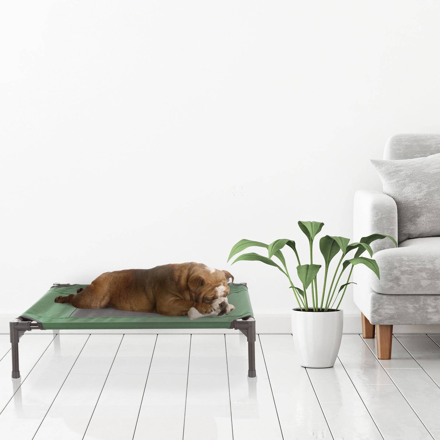 Elevated Pet Bed Non-Slip