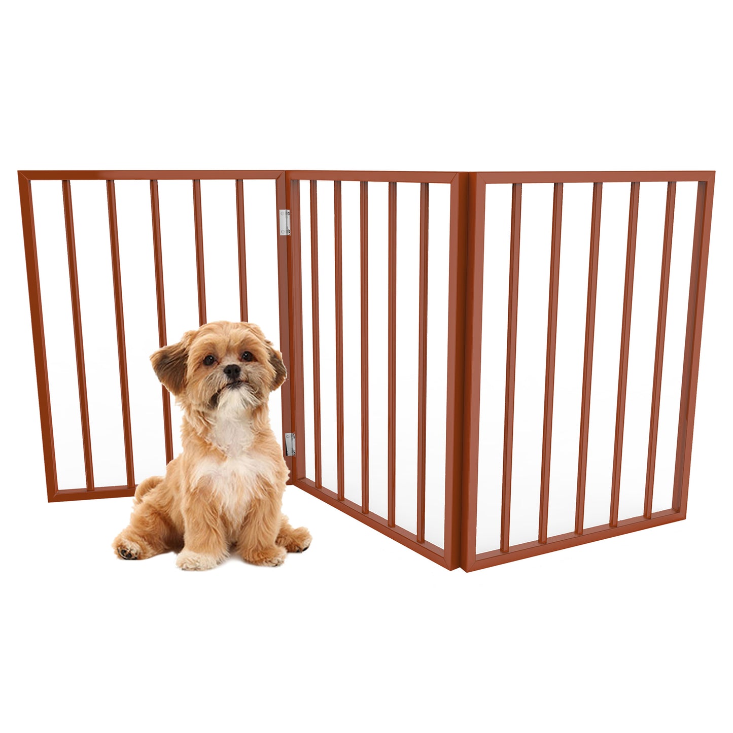 Maltipo dog sits obediently outside of a red pet fence, awaiting affection from the dog owner.