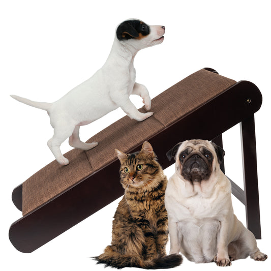 Puppy dog, pug and kitty, three animals that might use a pet ramp showcase the ease and benefit of a using a pet ramp.  